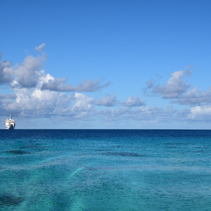 无套内谢大学生处破女www糖心
